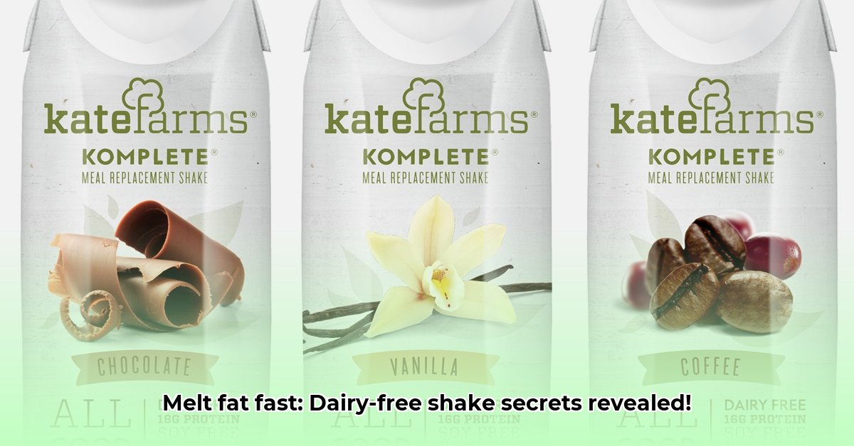 dairy-free-shakes-for-weight-loss